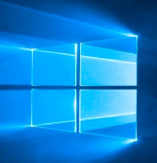 The Windows Game